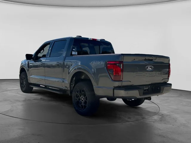 Nuevos FORD F-150 à Estados chez autogozo
