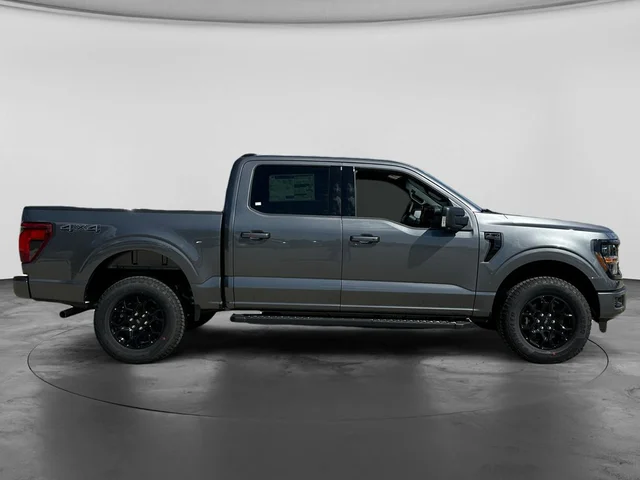 Nuevos FORD F-150 à Estados chez autogozo