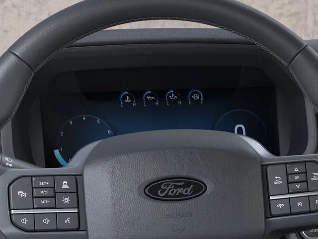 Nuevos FORD F-150 à Estados chez autogozo