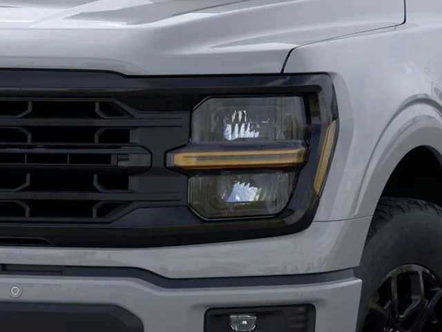 Nuevos FORD F-150 à Estados chez autogozo