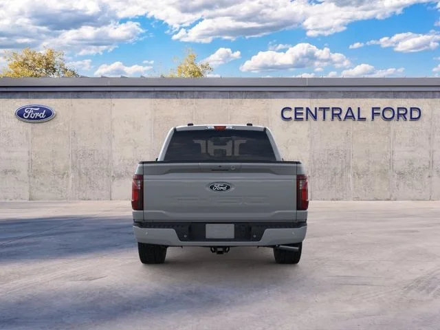 Nuevos FORD F-150 à Estados chez autogozo