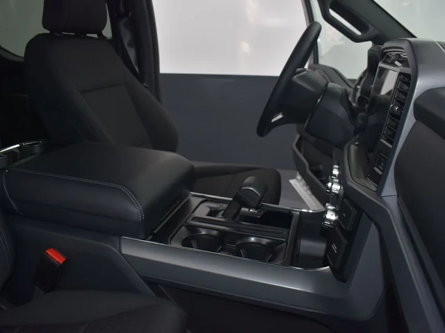 Nuevos FORD F-150 à Estados chez autogozo