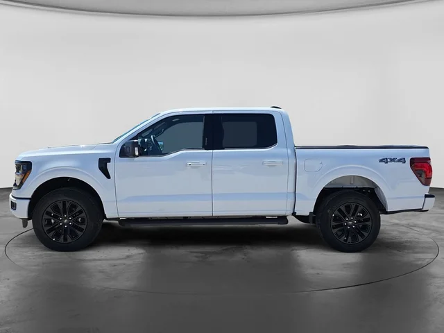 Nuevos FORD F-150 à Estados chez autogozo