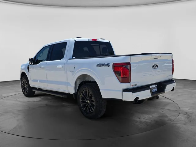 Nuevos FORD F-150 à Estados chez autogozo