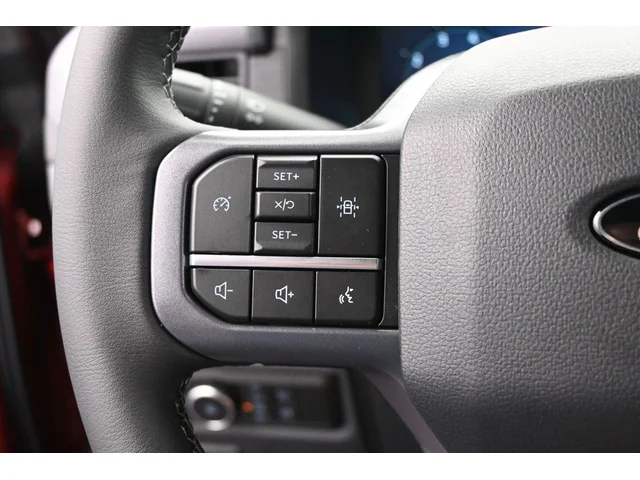 Nuevos FORD F-150 à Estados chez autogozo