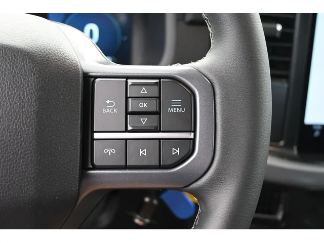 Nuevos FORD F-150 à Estados chez autogozo