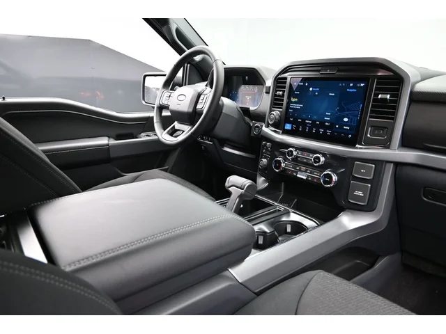 Nuevos FORD F-150 à Estados chez autogozo