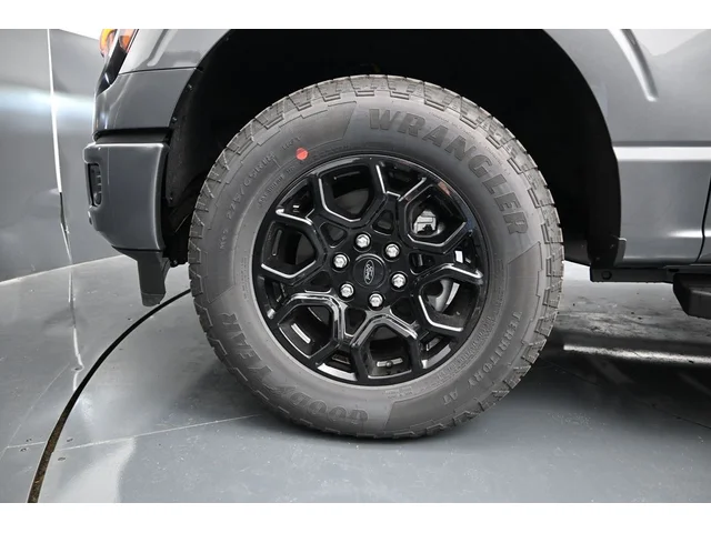 Nuevos FORD F-150 à Estados chez autogozo