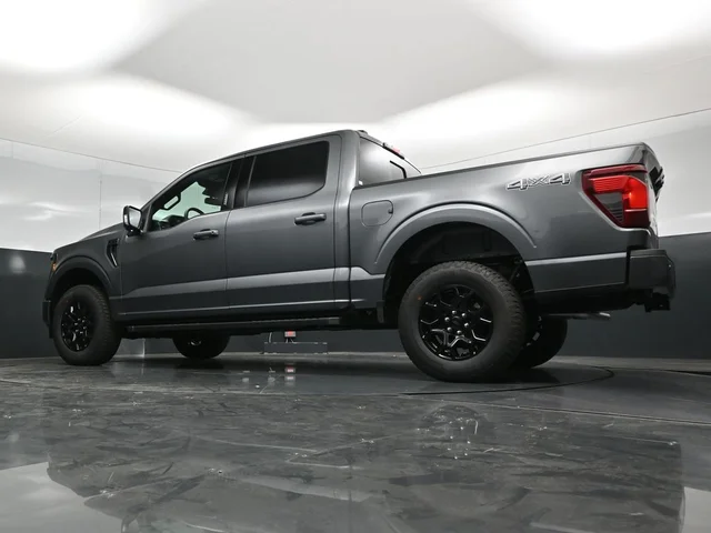 Nuevos FORD F-150 à Estados chez autogozo