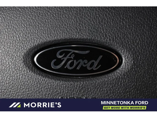 Nuevos FORD F-150 à Estados chez autogozo