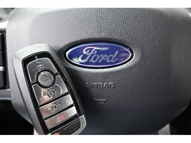 Nuevos FORD F-150 à Estados chez autogozo
