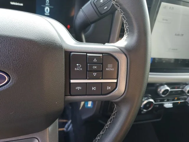 SEMINUEVOS FORD F-150 a Estados en autogozo