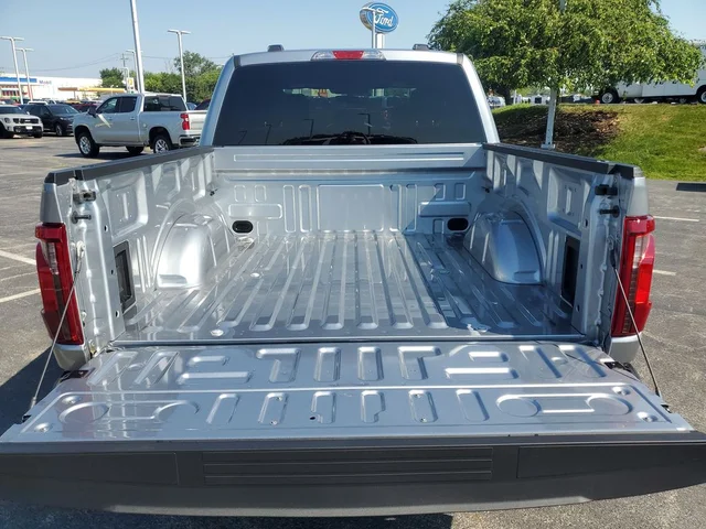 Nuevos FORD F-150 à Estados chez autogozo