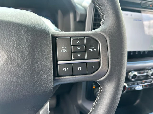 Nuevos FORD F-150 à Estados chez autogozo