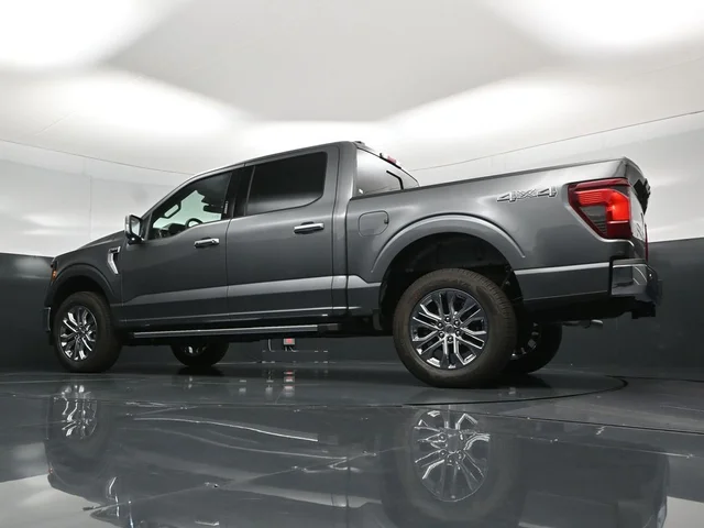 Nuevos FORD F-150 à Estados chez autogozo