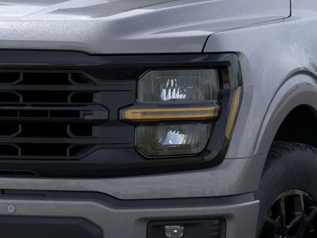 Nuevos FORD F-150 à Estados chez autogozo