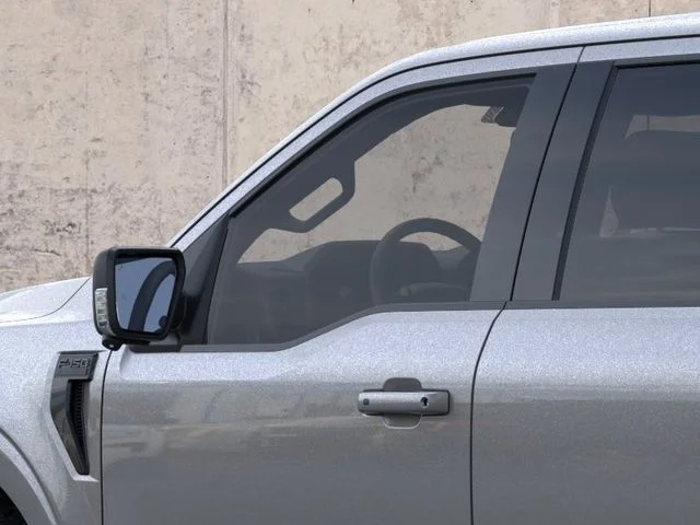 Nuevos FORD F-150 à Estados chez autogozo