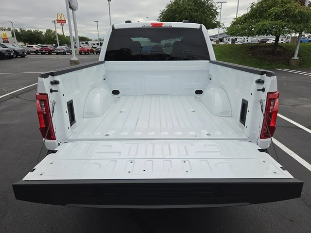 Nuevos FORD F-150 à Estados chez autogozo