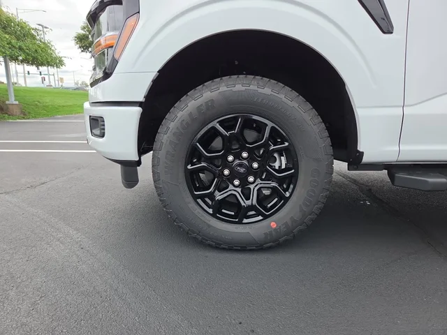 Nuevos FORD F-150 à Estados chez autogozo