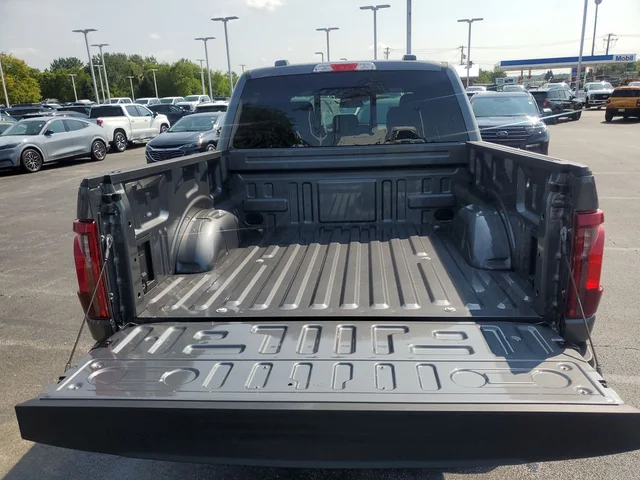 Nuevos FORD F-150 à Estados chez autogozo