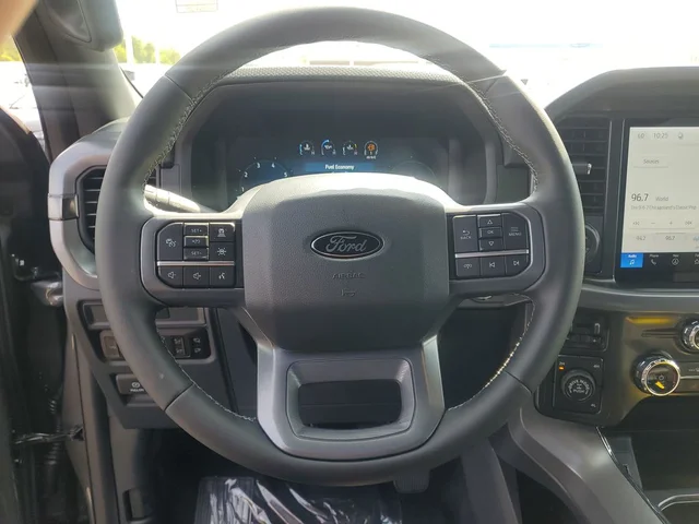 Nuevos FORD F-150 à Estados chez autogozo