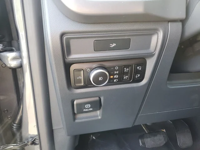 Nuevos FORD F-150 à Estados chez autogozo