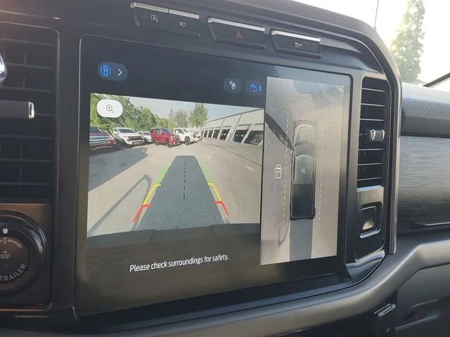 SEMINUEVOS FORD F-150 a Estados en autogozo