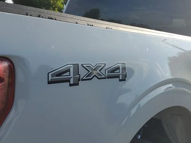 SEMINUEVOS FORD F-150 a Estados en autogozo