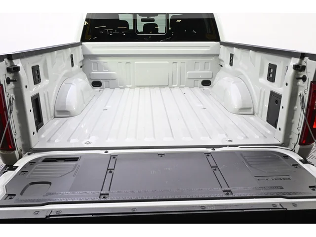 Nuevos FORD F-150 à Estados chez autogozo
