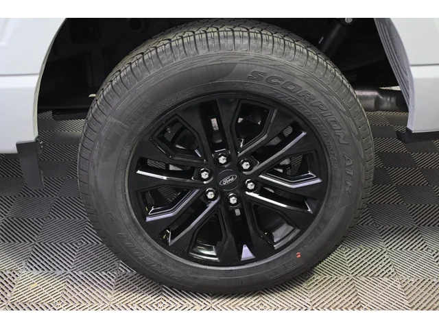 Nuevos FORD F-150 à Estados chez autogozo