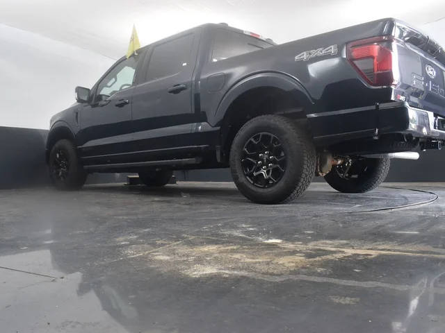 Nuevos FORD F-150 à Estados chez autogozo