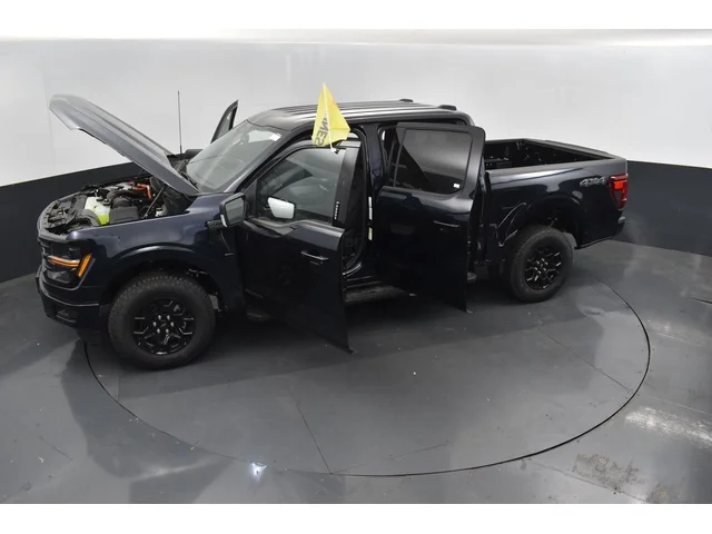 Nuevos FORD F-150 à Estados chez autogozo