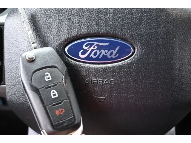 SEMINUEVOS FORD F-150 a Estados en autogozo