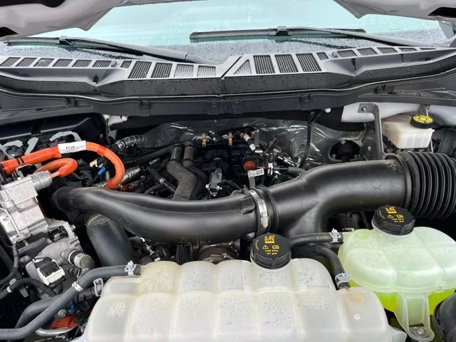 SEMINUEVOS FORD F-150 a Estados en autogozo