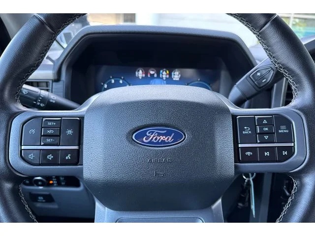 SEMINUEVOS FORD F-150 at ELK GROVE in Elk Grove Buick GMC