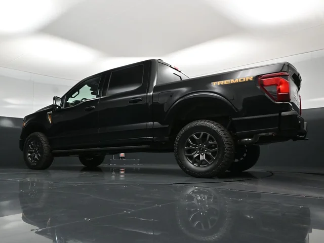 Nuevos FORD F-150 à Estados chez autogozo
