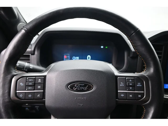 SEMINUEVOS FORD F-150 a Estados en autogozo