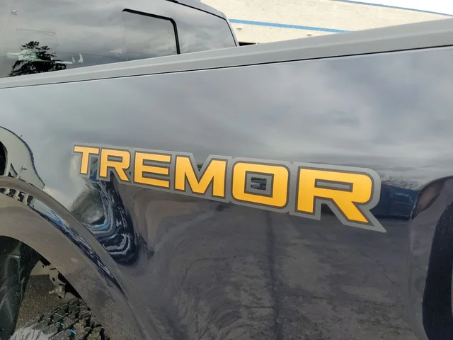 Nuevos FORD F-150 à Estados chez autogozo