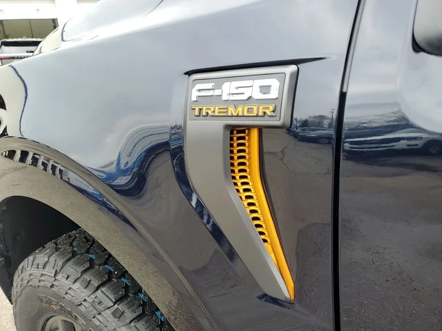 Nuevos FORD F-150 à Estados chez autogozo