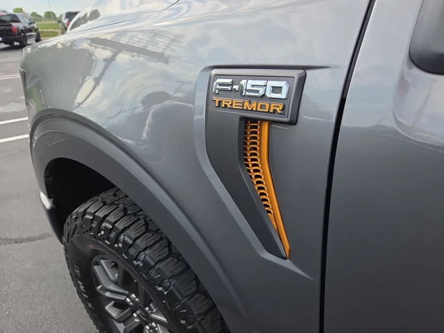 Nuevos FORD F-150 à Estados chez autogozo