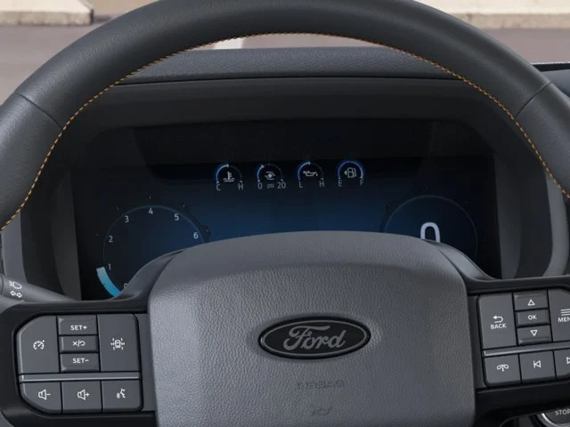 Nuevos FORD F-150 à Estados chez autogozo