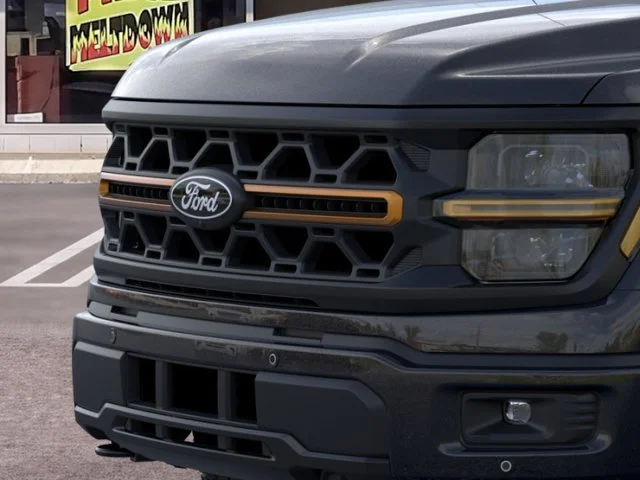 Nuevos FORD F-150 à Estados chez autogozo