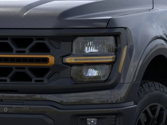 Nuevos FORD F-150 à Estados chez autogozo
