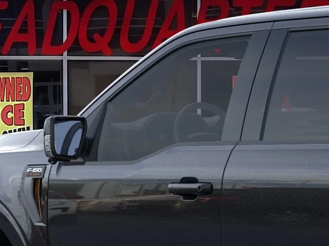 Nuevos FORD F-150 à Estados chez autogozo