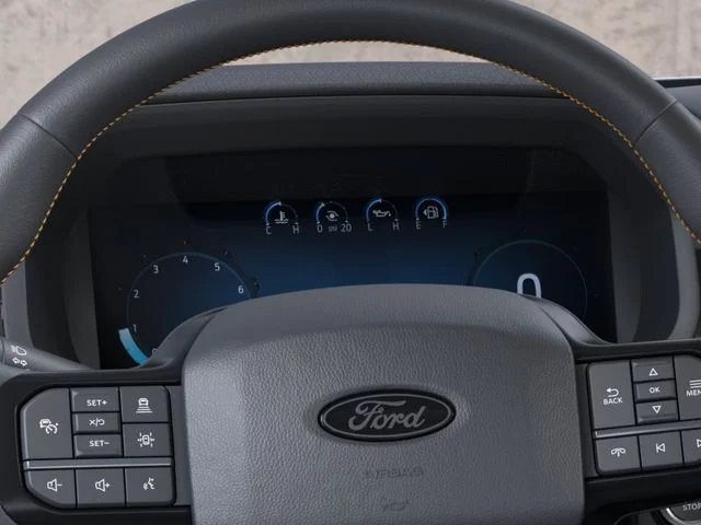Nuevos FORD F-150 à Estados chez autogozo