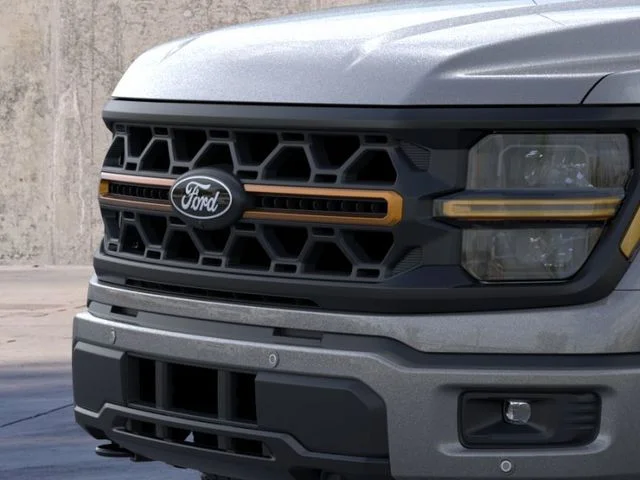 Nuevos FORD F-150 à Estados chez autogozo