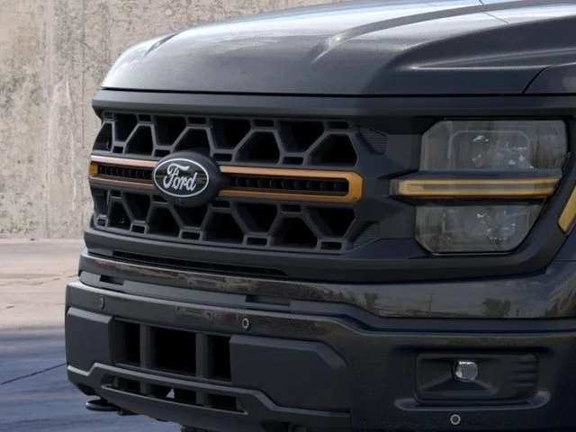 Nuevos FORD F-150 à Estados chez autogozo