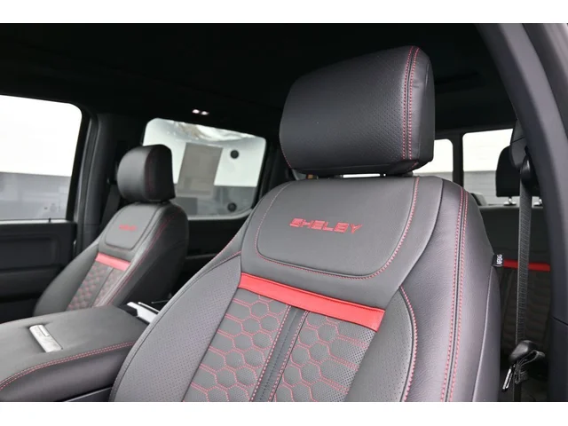 Nuevos FORD F-150 à Estados chez autogozo