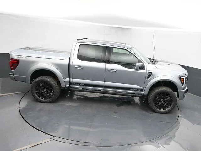 Nuevos FORD F-150 à Estados chez autogozo