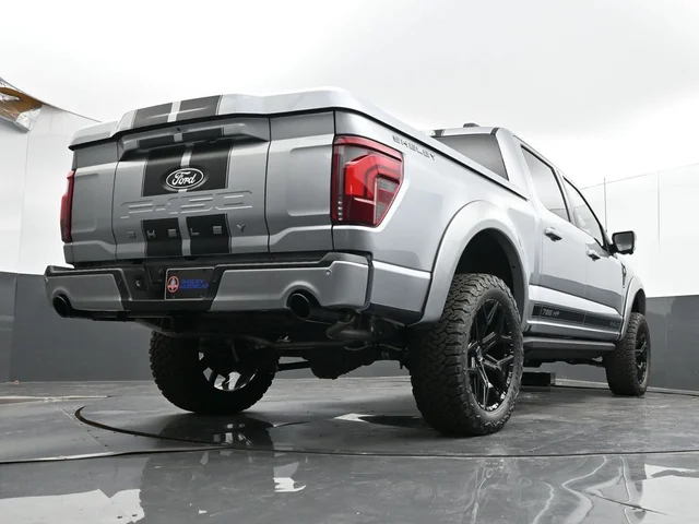 Nuevos FORD F-150 à Estados chez autogozo